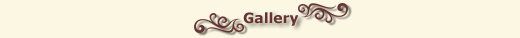 Galleria di foto di Ganesh Del Vescovo