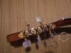 Detail of the Chikari Guitar