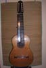 Chitarra sarod (built by the luthier Franco Barsali on the project of Ganesh Del Vescovo )