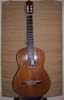 Chikari Guitar( guitar built by the luthier Alan Wilcox and modified by Ganesh Del Vescovo ).